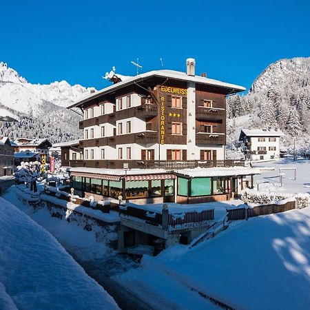 Hotel Edelweiss Con Ristorante Note Di Gusto Forni di Sopra Exterior foto